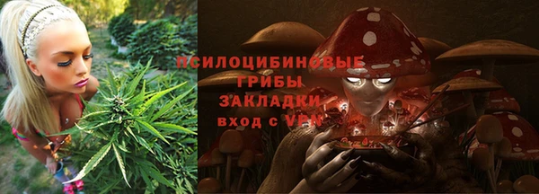 2c-b Абаза