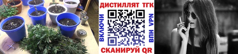 ТГК вейп  Нестеровская 